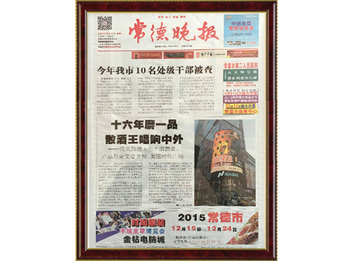 常德晚報(bào)宣傳圖